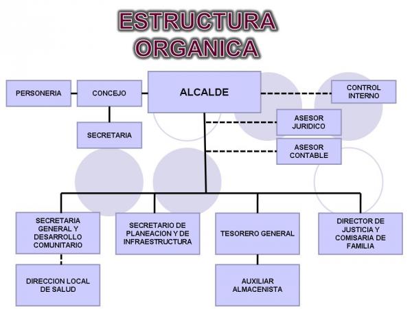 organigrama